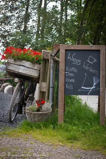 Bierum Wikster van het Wad