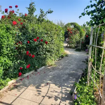 Nieuw Beerta De Cleune Hortus