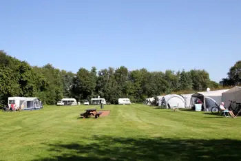 Camping harminahoeve in sellingen