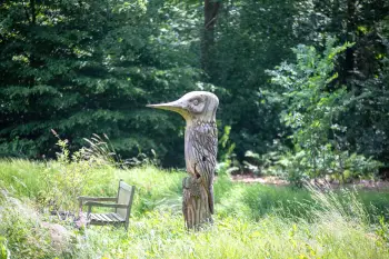 Sellingen Rustpunt Heerlijk tuin