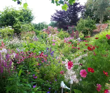 't Waar Open tuin bloummhoeske