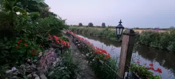 't Waar Open tuin bloummhoeske